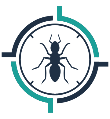 Дезинсекция